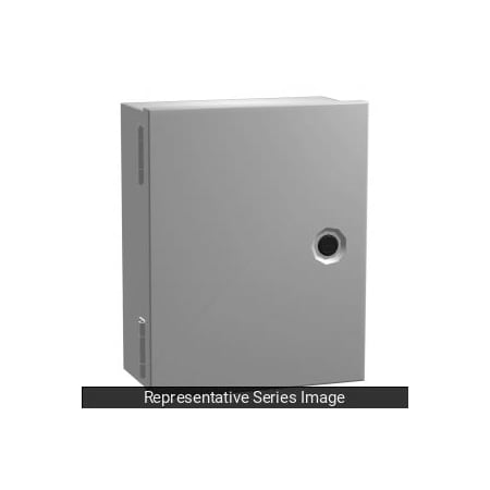 N1 Enclosure W/Panel, 8 X 6 X 4, Steel/Gray